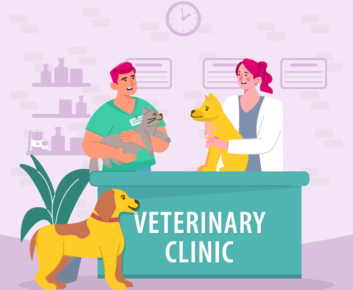 Doctors Examine Animals In Veterinary Clinic Concept