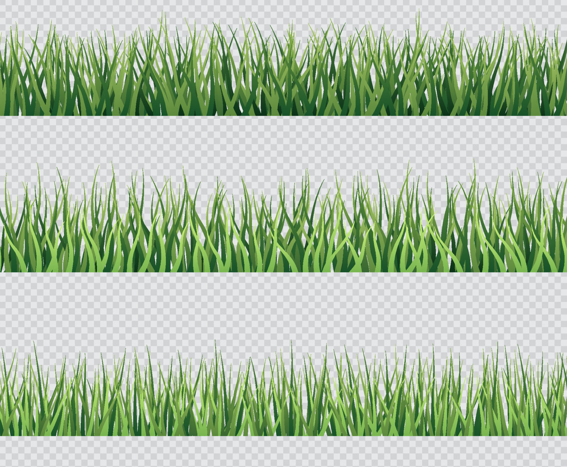 Grass with Transparent Background