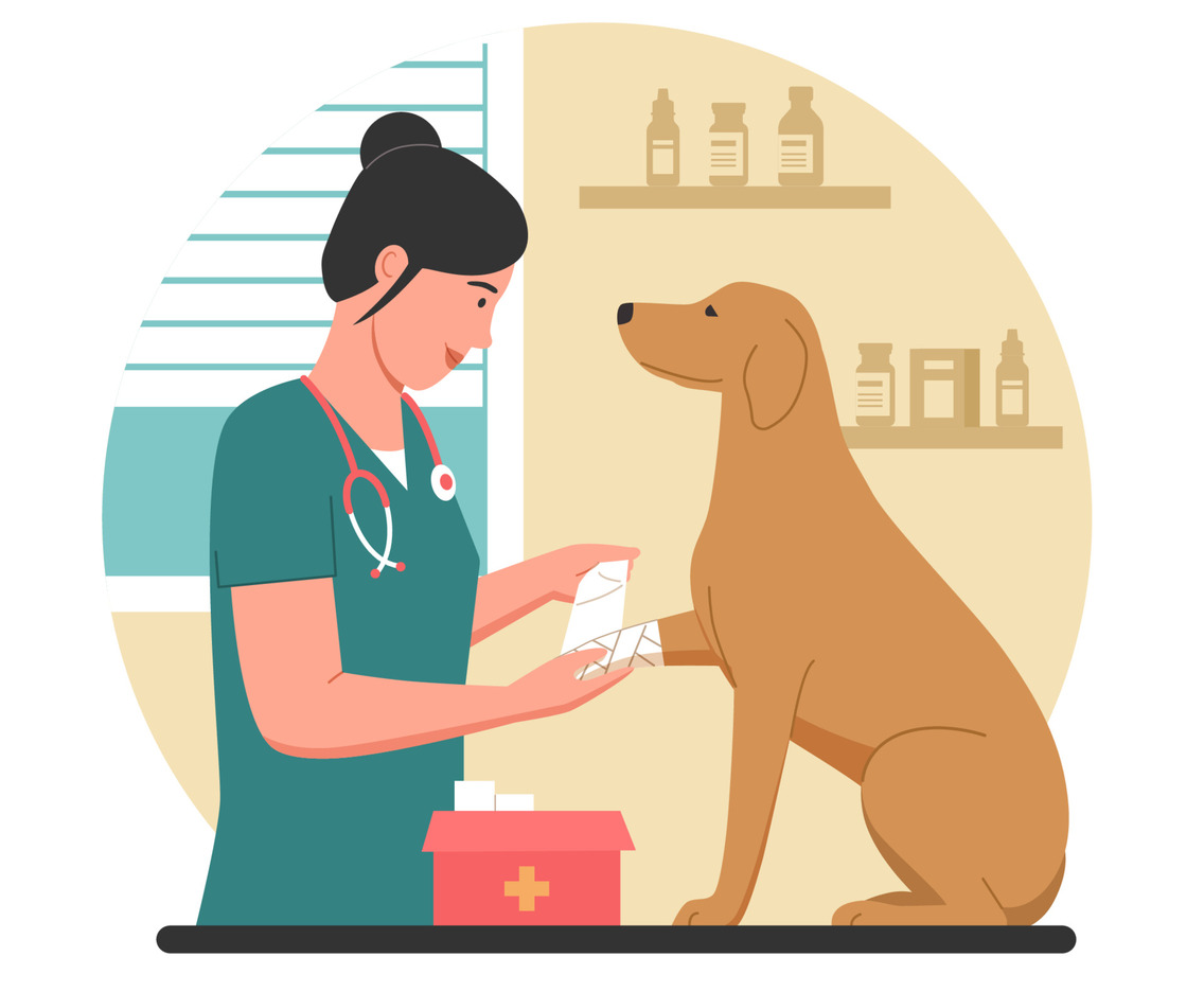Veterinarian Putting a Bandage on Injured Dog's Paw