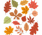 Fallen Leaves Flat Element Icon Creative Layout