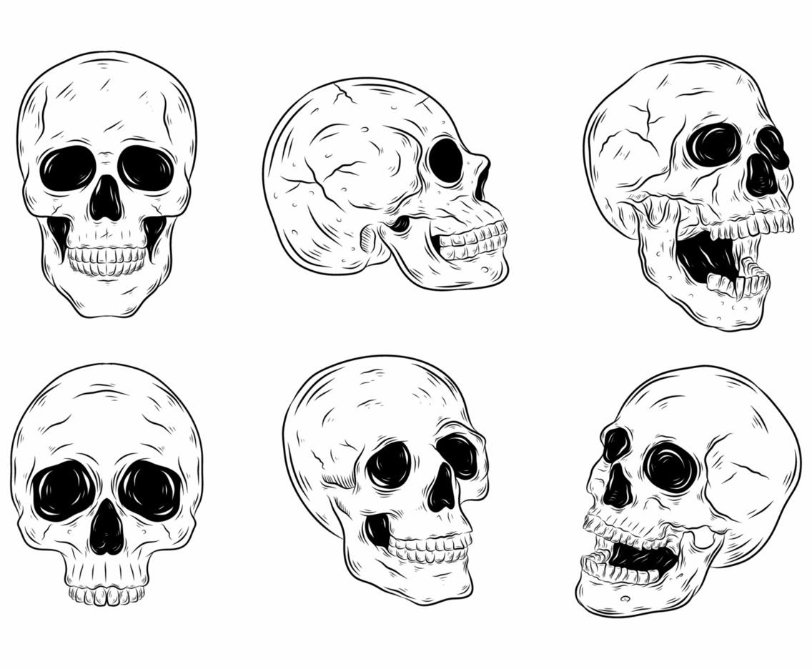 Realictic Skull Hand Drawn Element