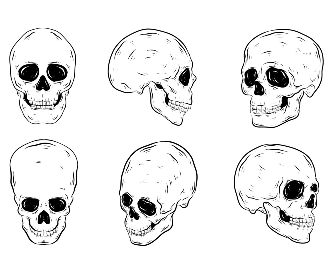 Realictic Skull Hand Drawn Element