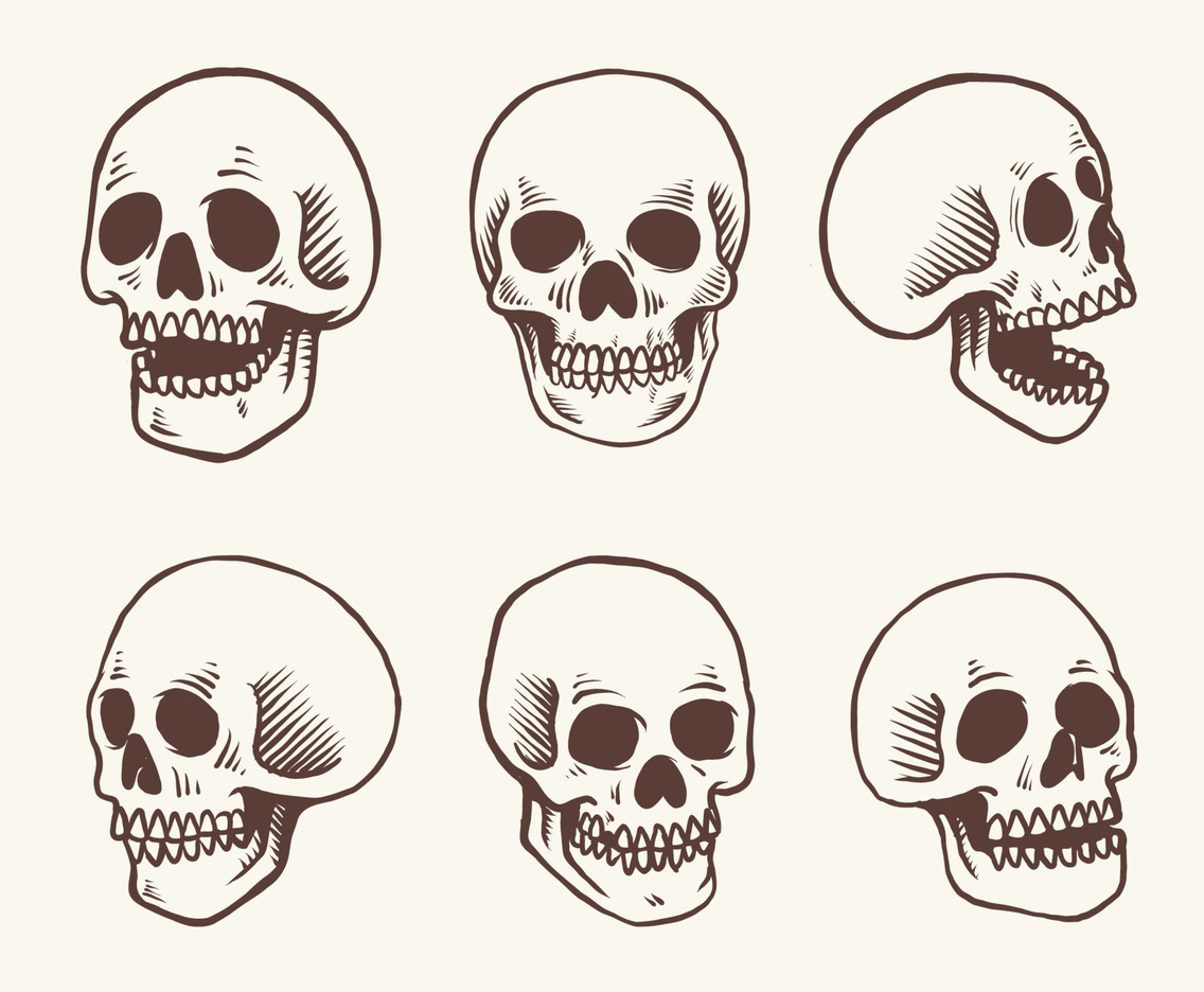 Hand drawn Skull Head Vector Illustration