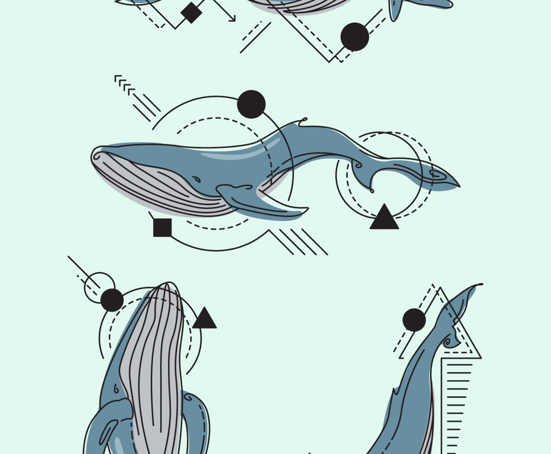 Aesthetic Minimalist Tattoo Blue Whale
