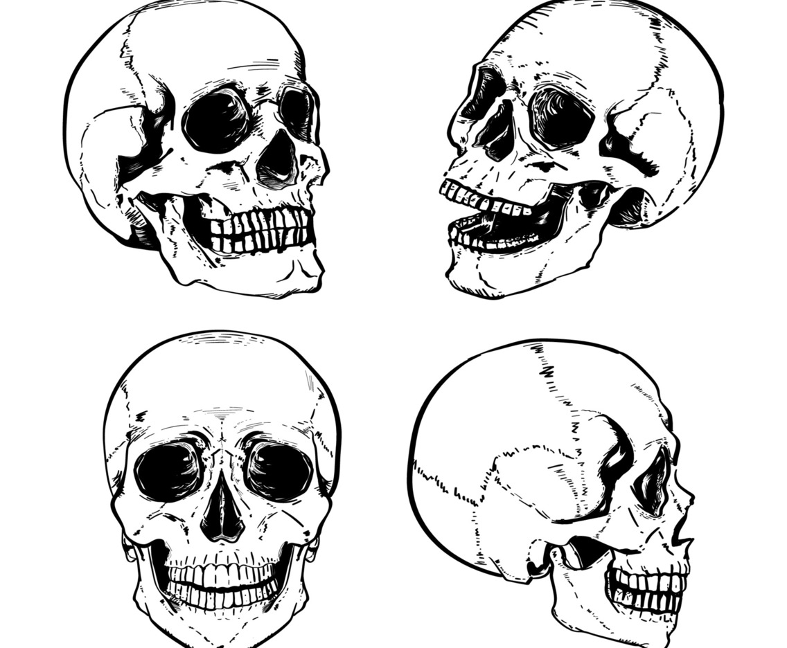 Realistic Hand Drawn Ink Pen Detailed Skull