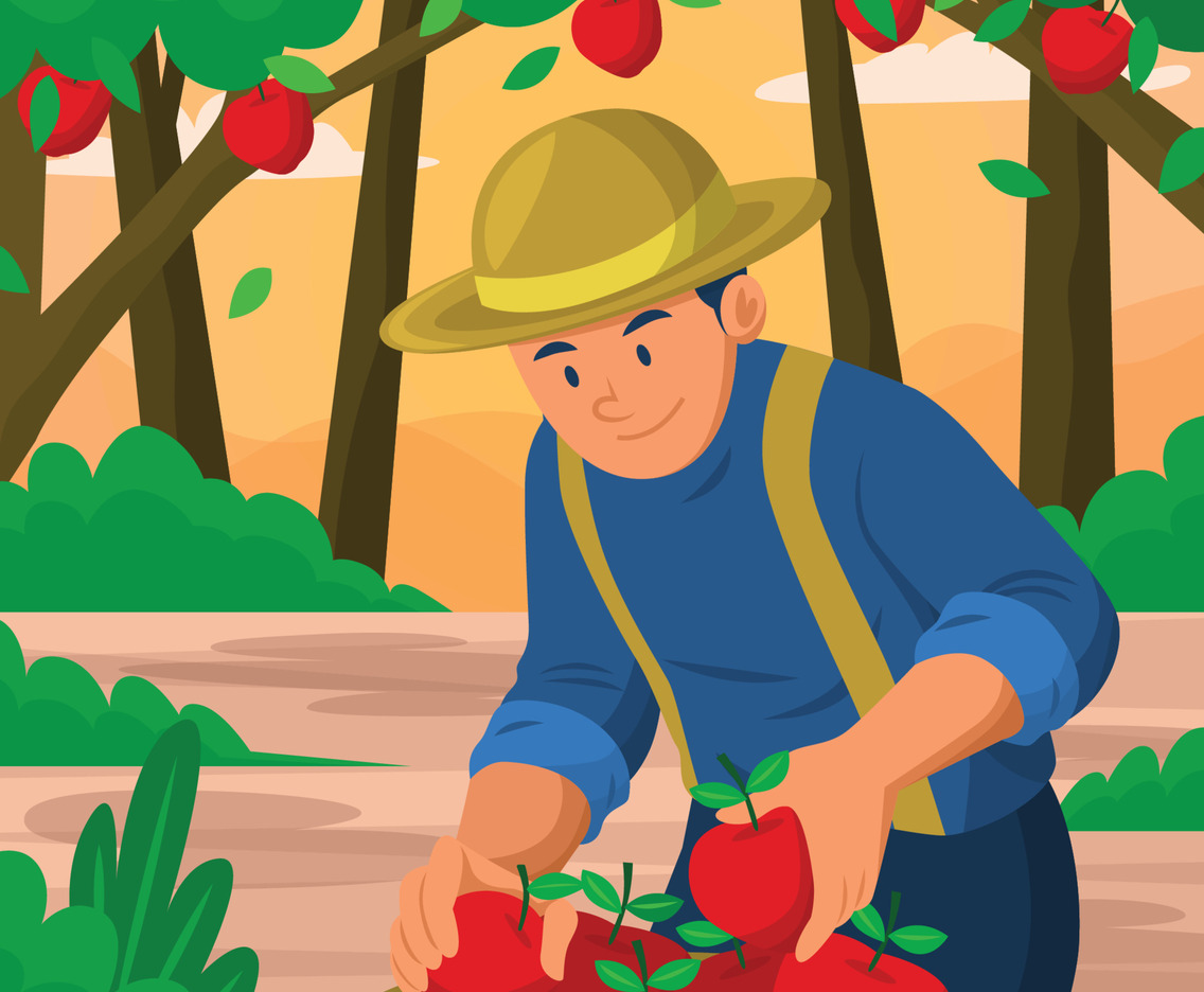 A Man Gather For An Apples