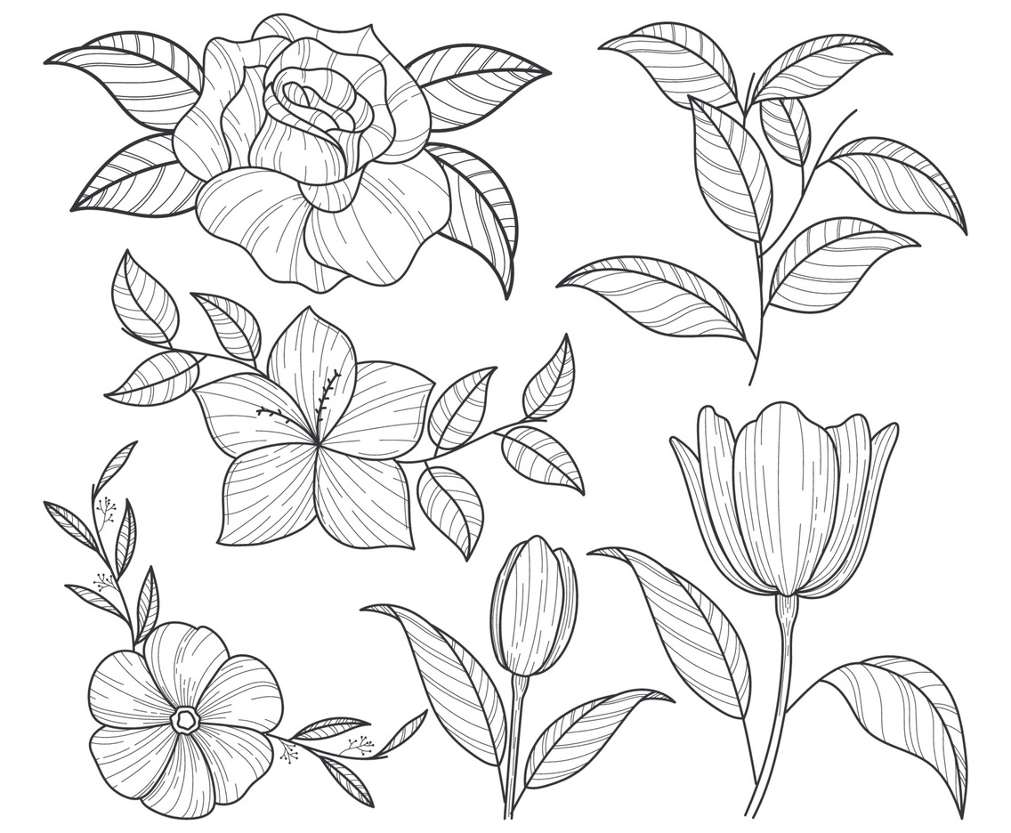 Hand Drawn Realistic Floral Collection