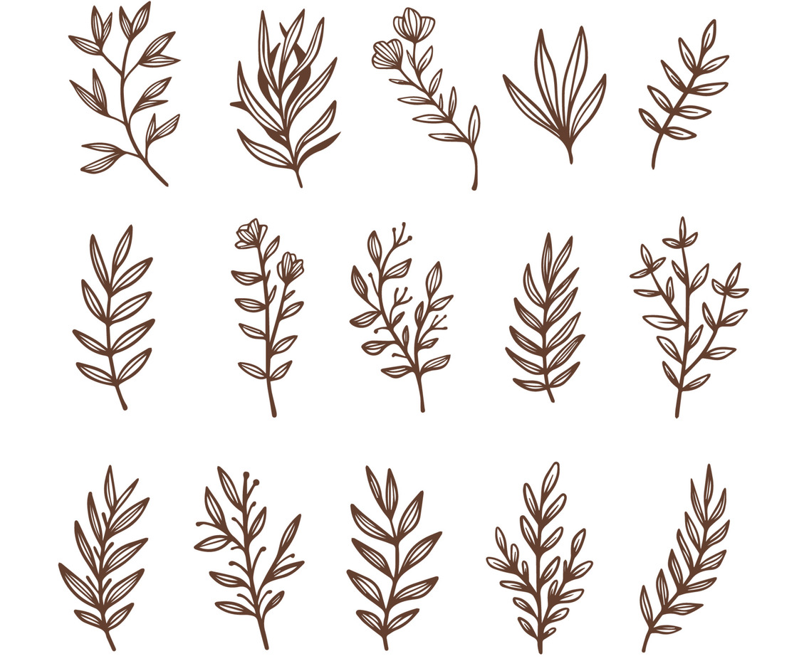 Hand Drawn Floral and Leaves Collection