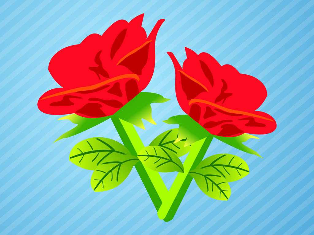 Roses Graphics Vector
