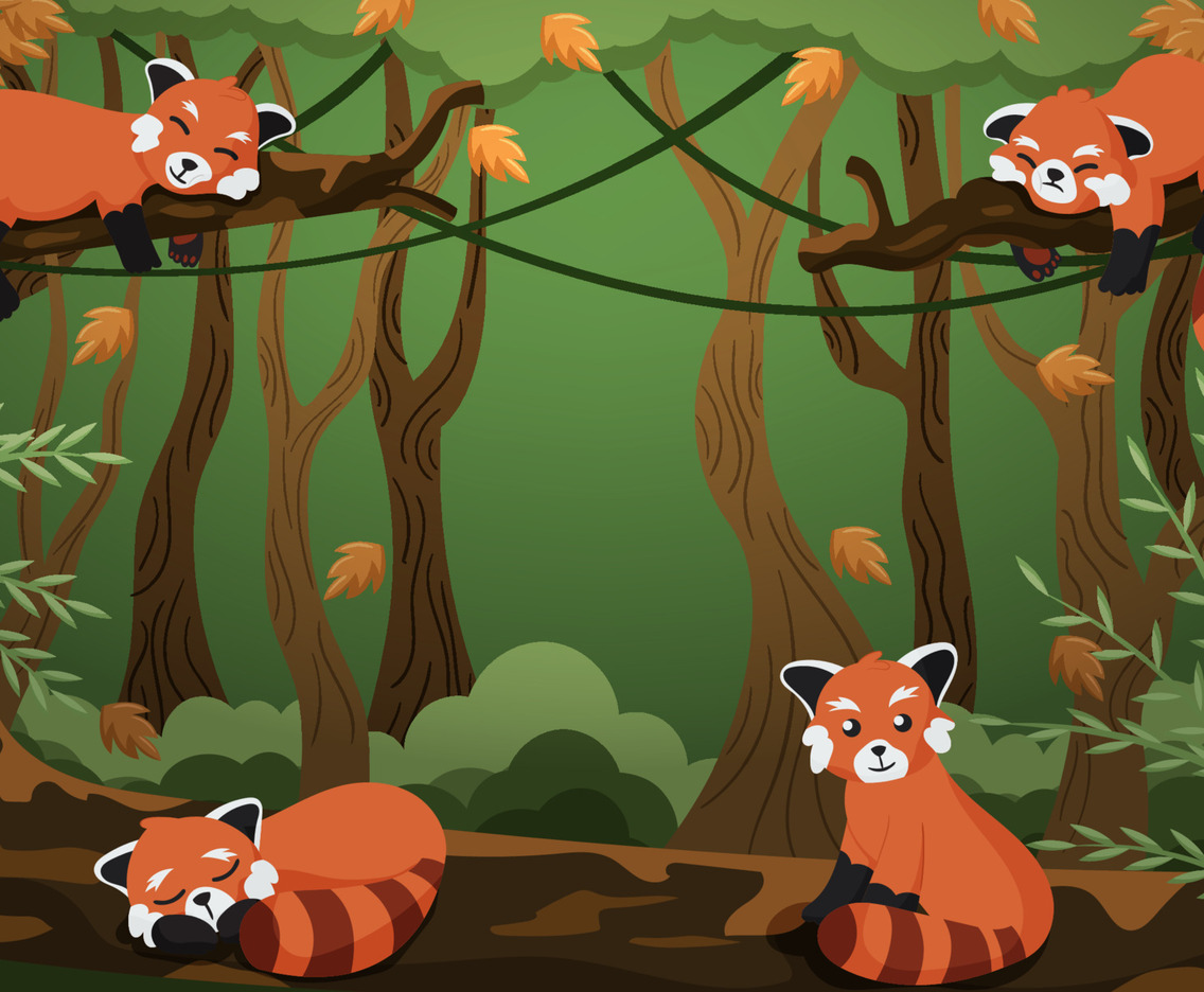 Background of Red Pandas in the Forest