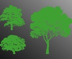 Trees Silhouette Graphics