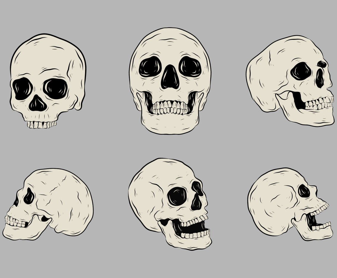 Realictic Skull Hand Drawn Element