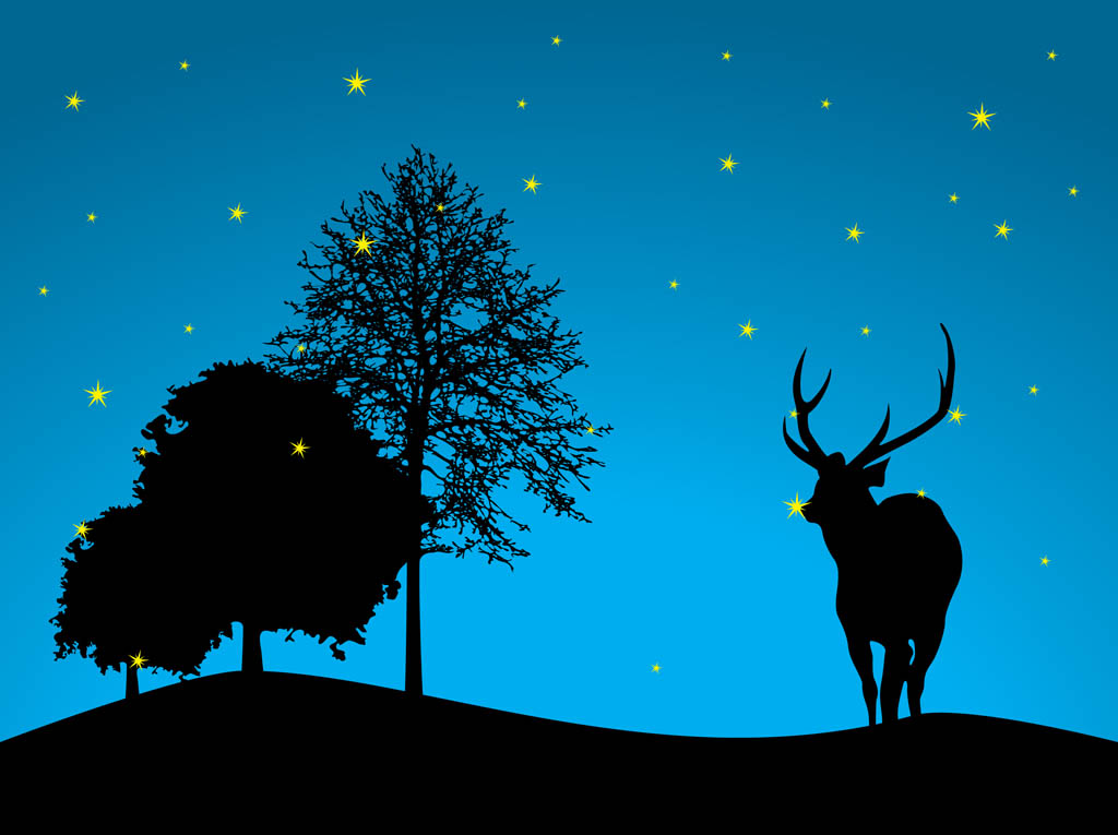 Night Forest Vector