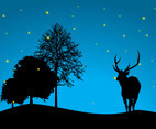Night Forest Vector