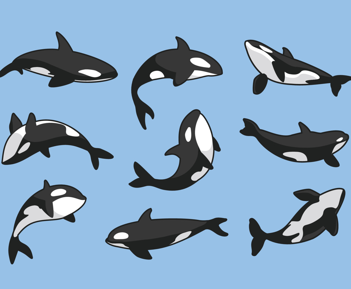 Whale Icon Set Collection