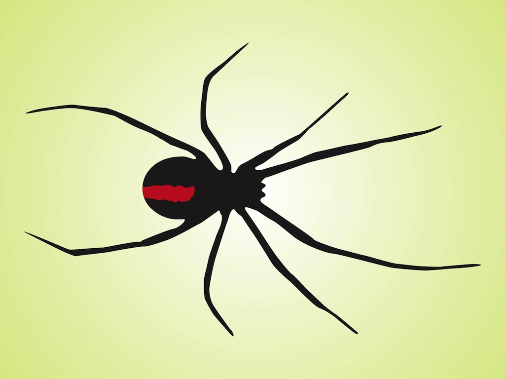 Black Widow Spider Vector Art And Graphics