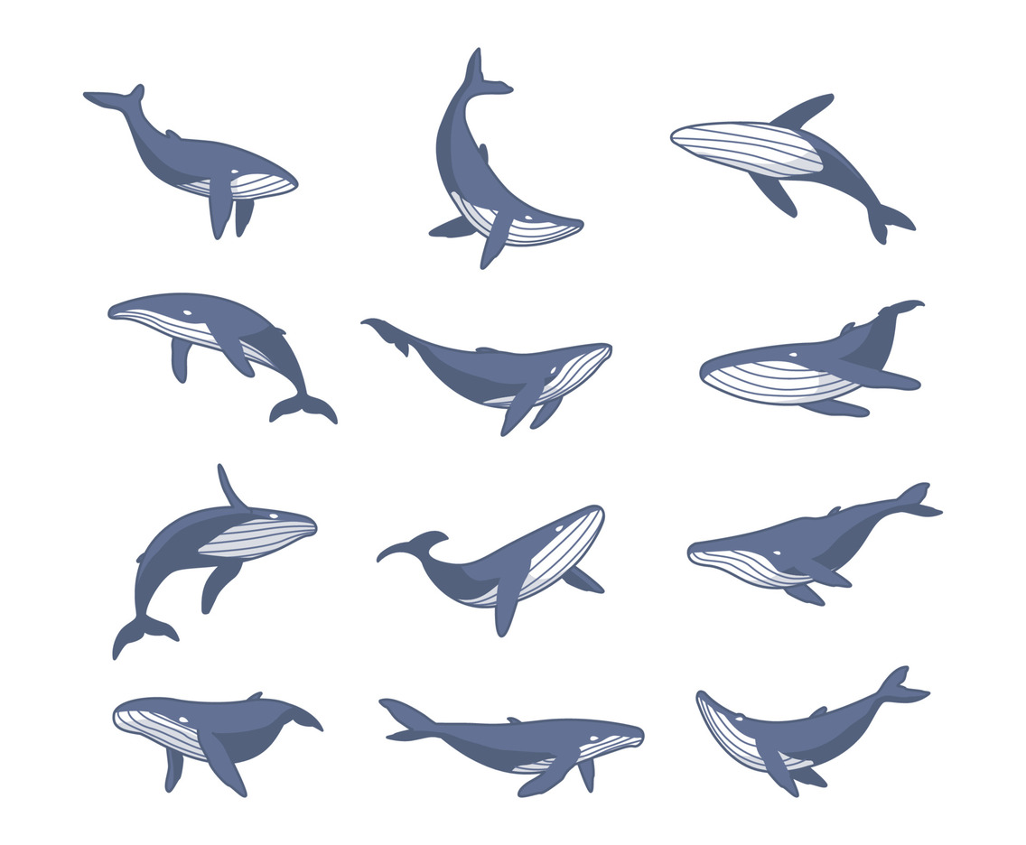 Cute Whale Icon Collection