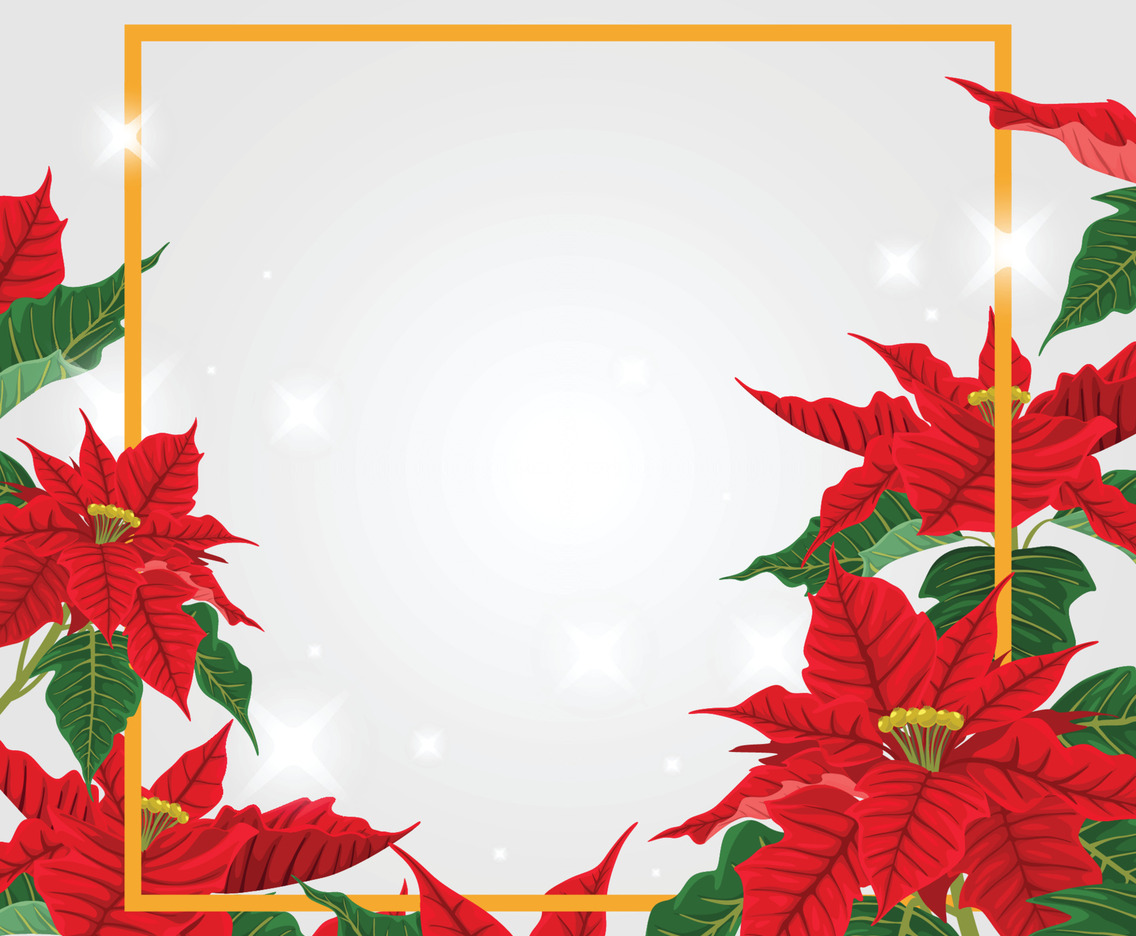 Poinsettias Background Template