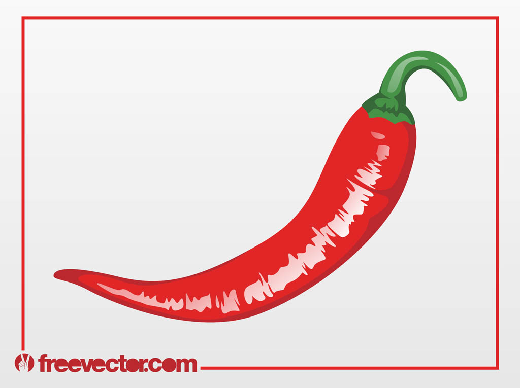 Chili Pepper Vector