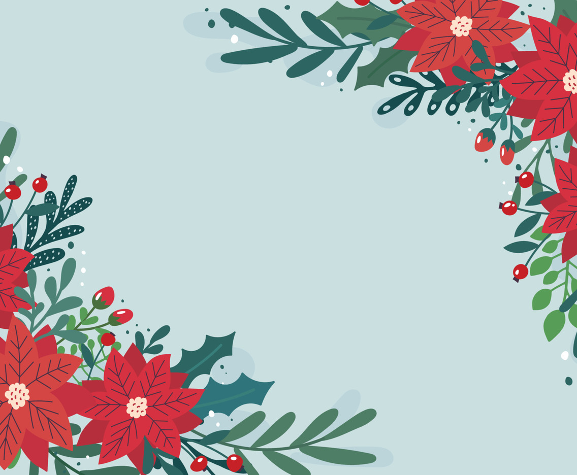 Poinsettias Background on Winter Season
