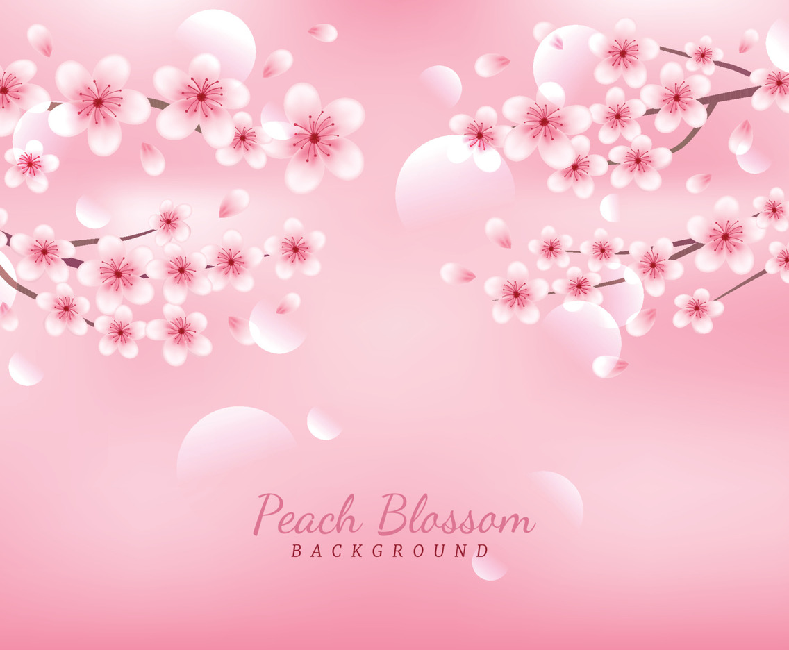 Peach Blossom Flowers Cute and Girlie Background Concept