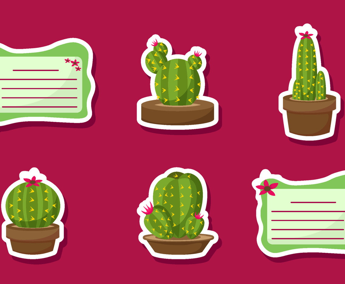 Cactus Succulents Stickers