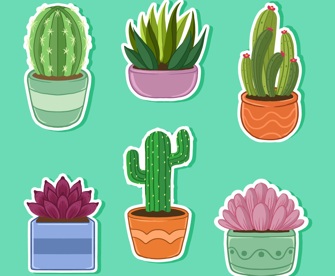 Cactus And Succulent Sticker Set