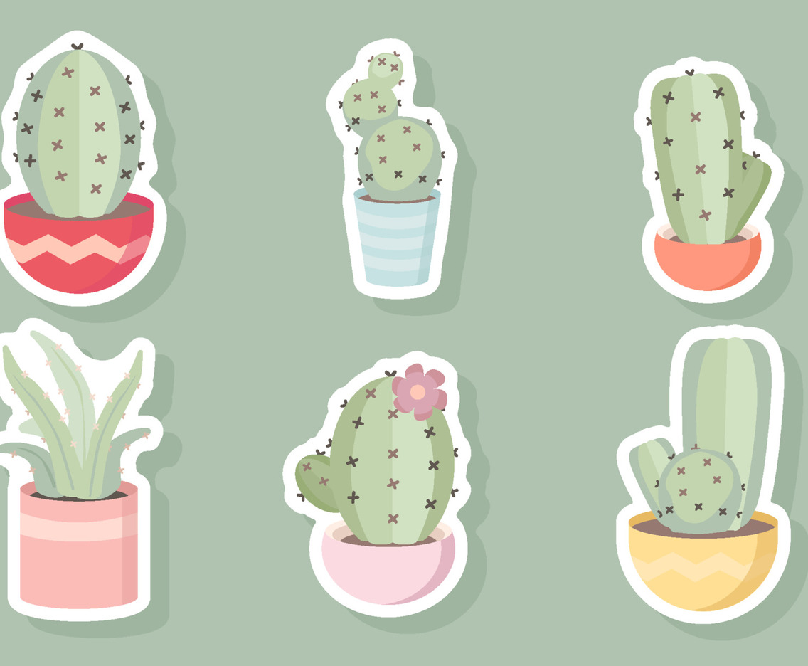 Cactus Succulents Sticker