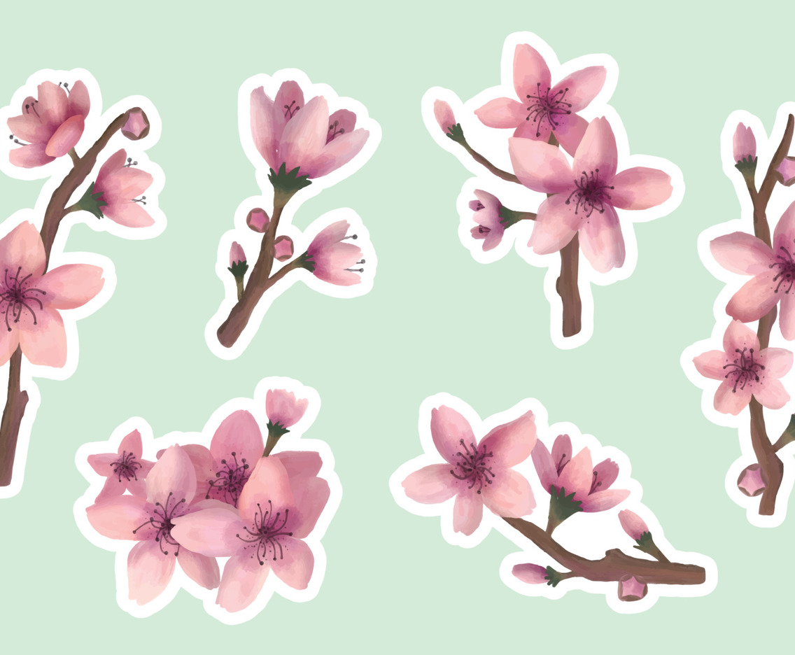 Hand Drawn Peach Blossom Stickers Set