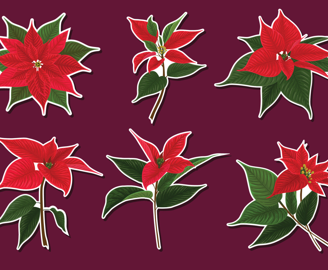 Poinsettias Sticker Element Set