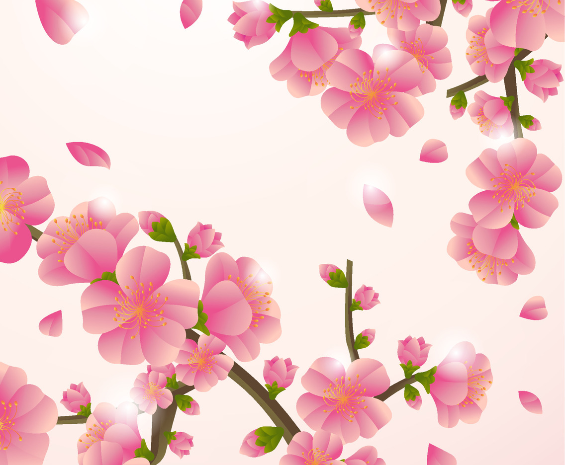 Peach Flower Blossom Background