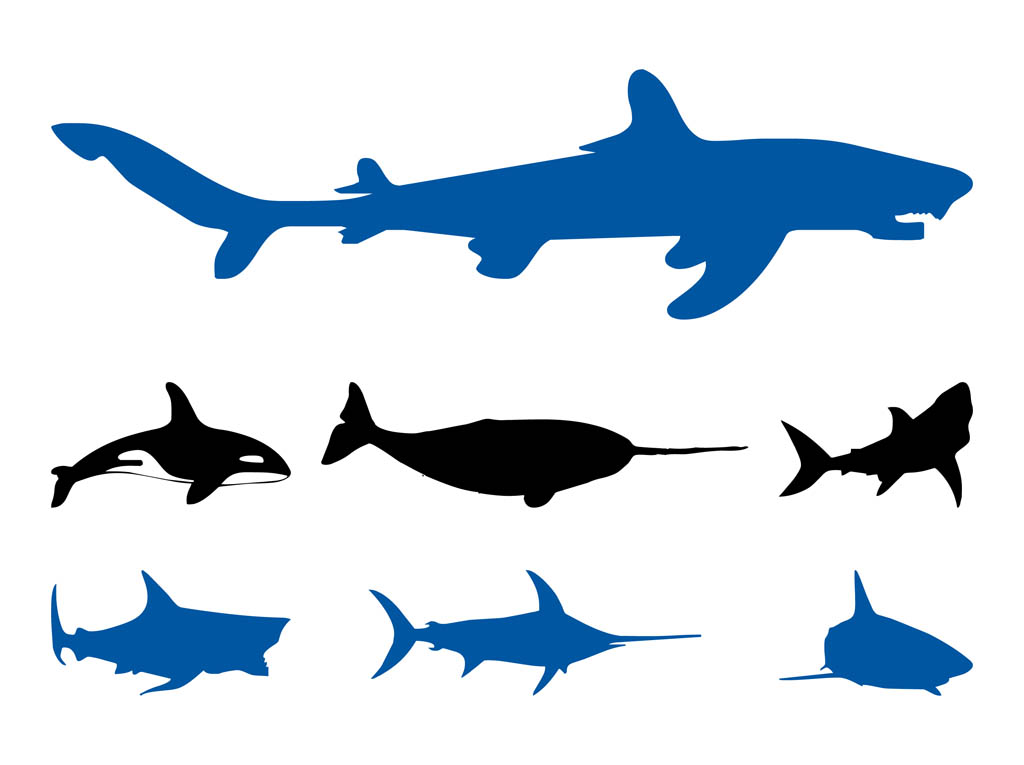 Sea Animals Graphics Set