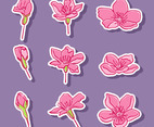 Peach Blossom Sticker Set