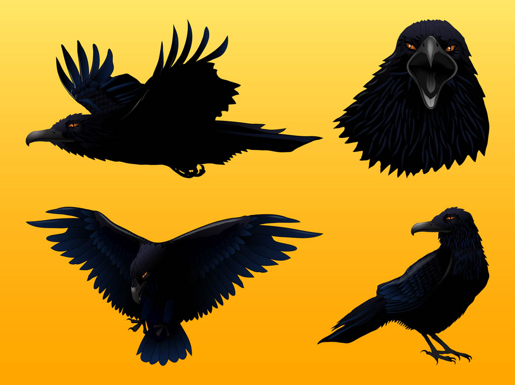 Crow Graphics Set
