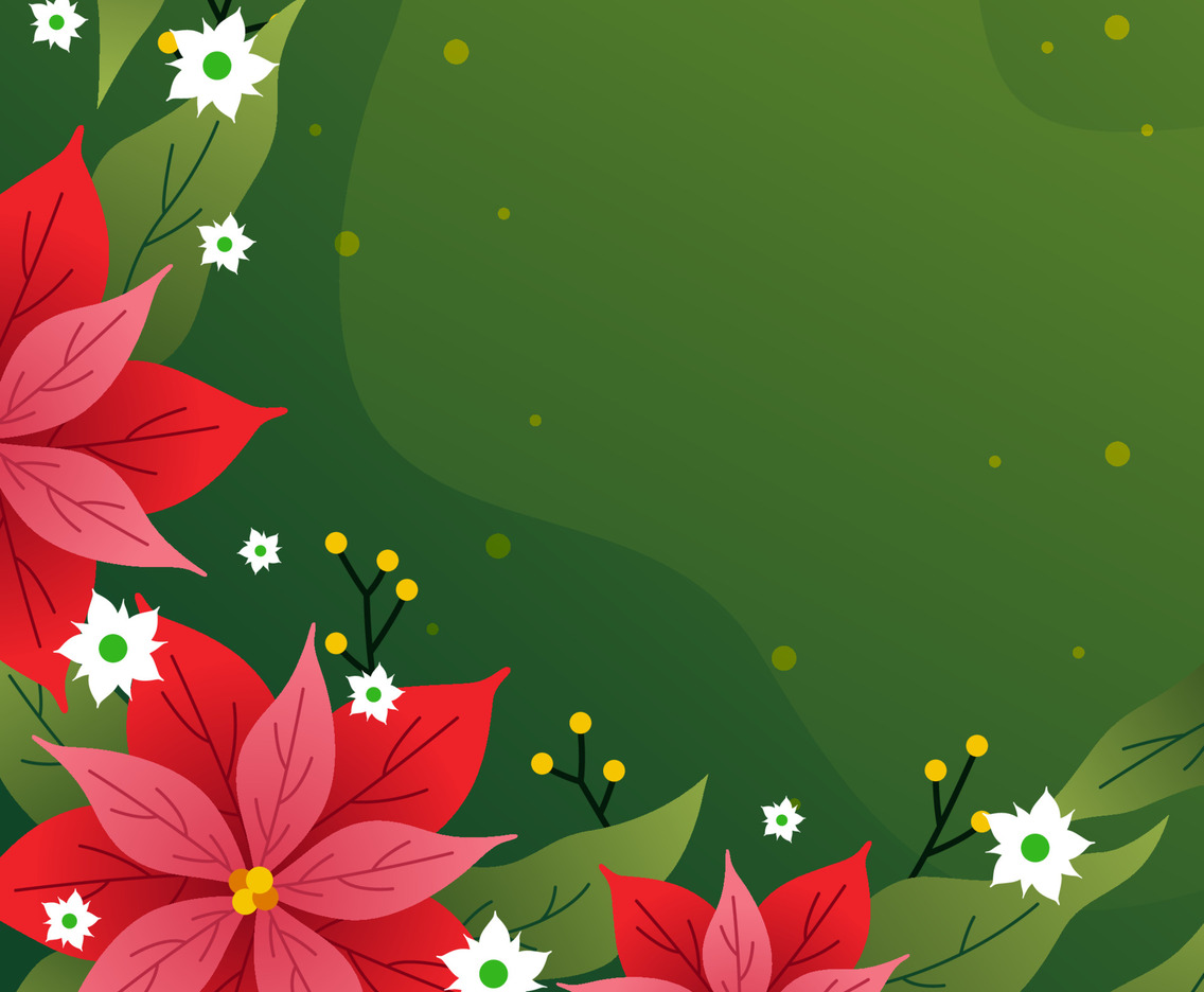 Red Poinsettias Flower Background