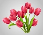Realistic Tulips