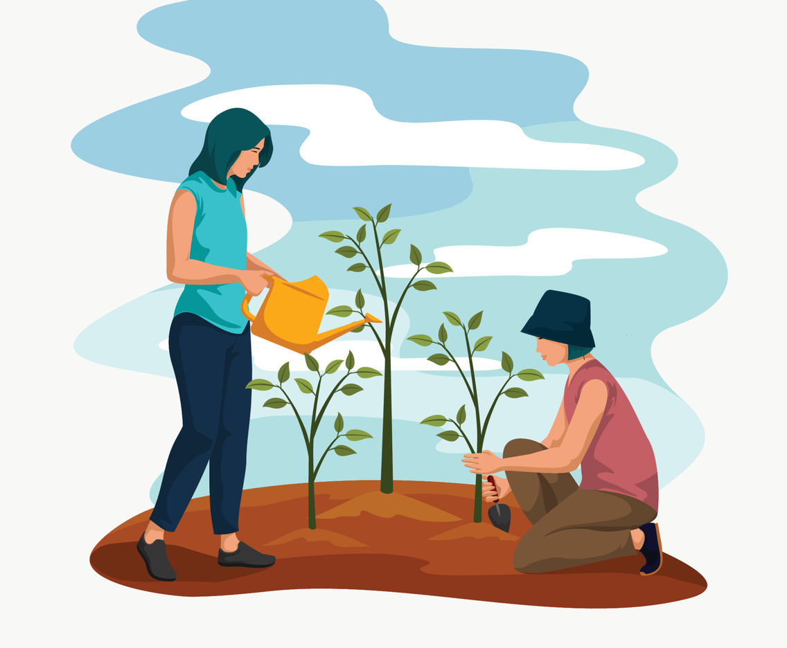 Celebrating Tu Bishvat Concept