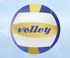 Volleyball Vector