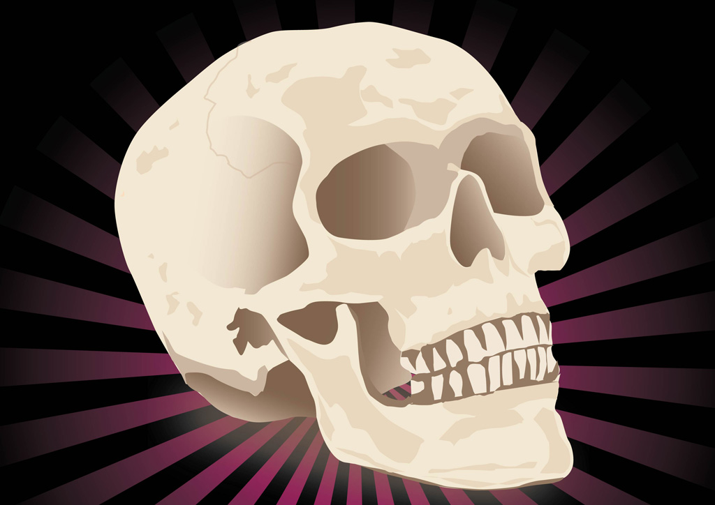Free Realistic Skull Vector