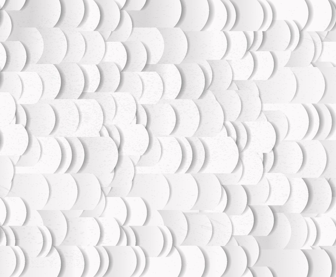 3D White Round Shell Texture