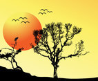 Tree Sunset Background