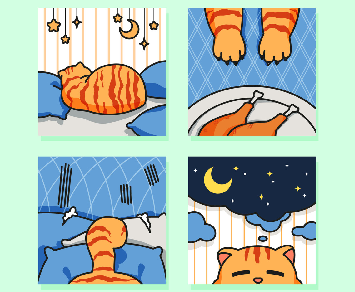 Cute Lazy Orange Cat Concept for Social Media Post