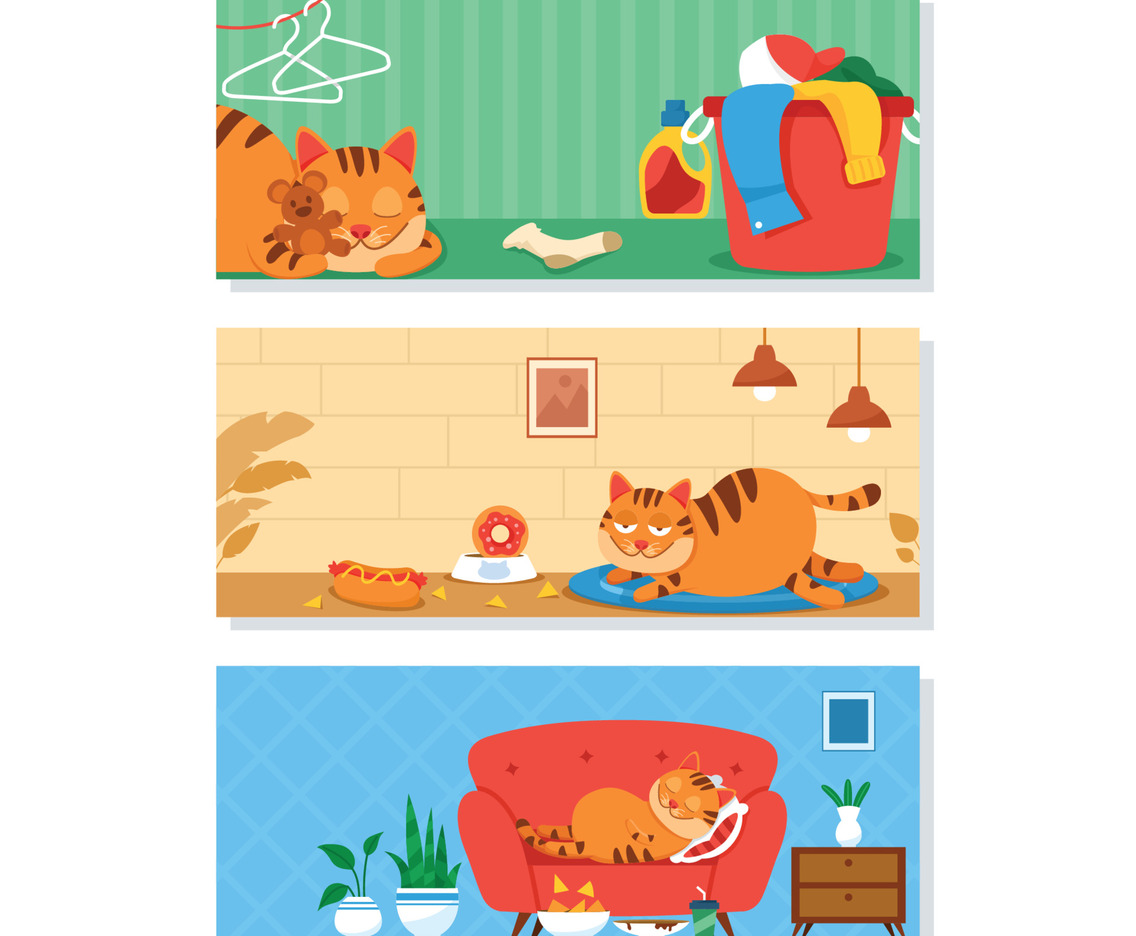 Lazy Yellow Fat Cat