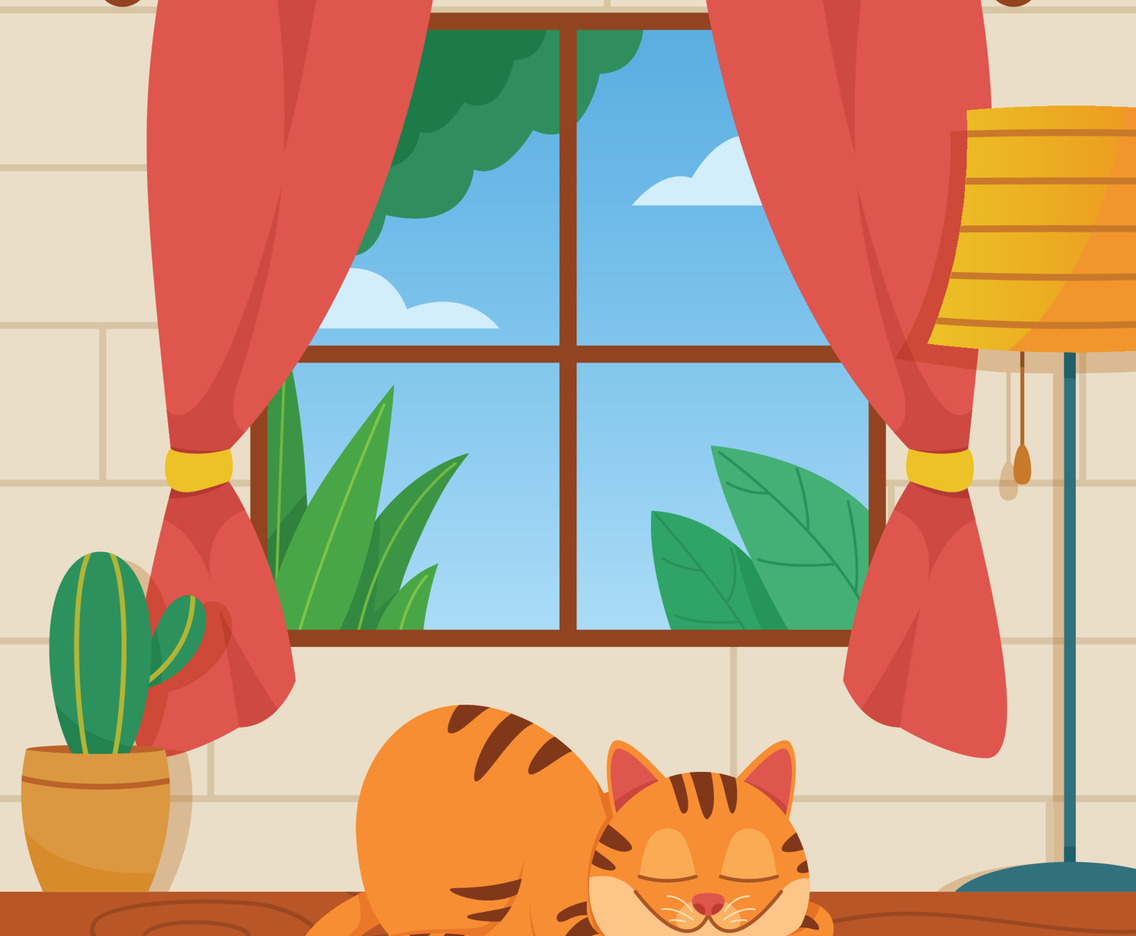 Lazy Orange Cat Sleeping in The Noon