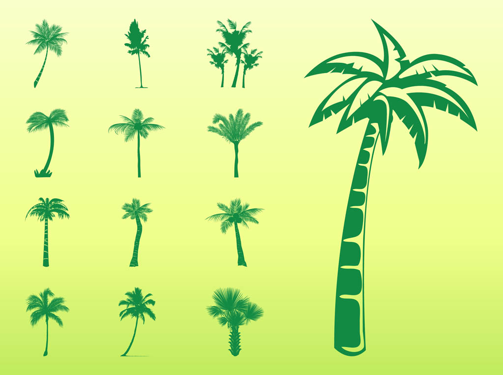 Palm Trees Silhouettes Set