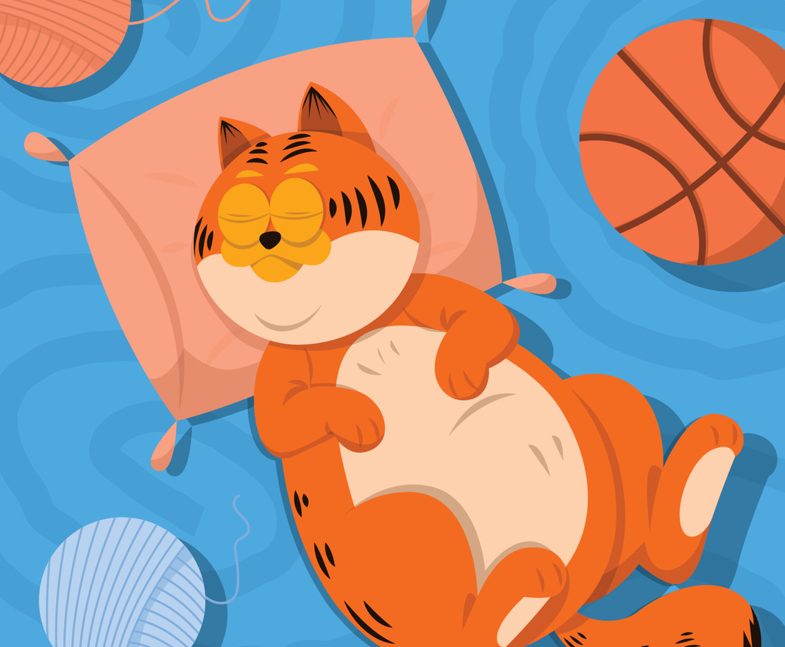 The Orange Fat Cat Sleeping