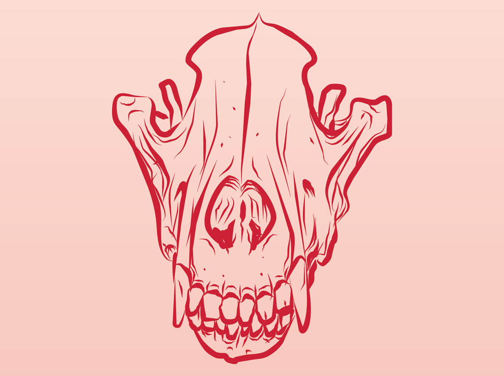 Dead Animal Skull Vector Art & Graphics 