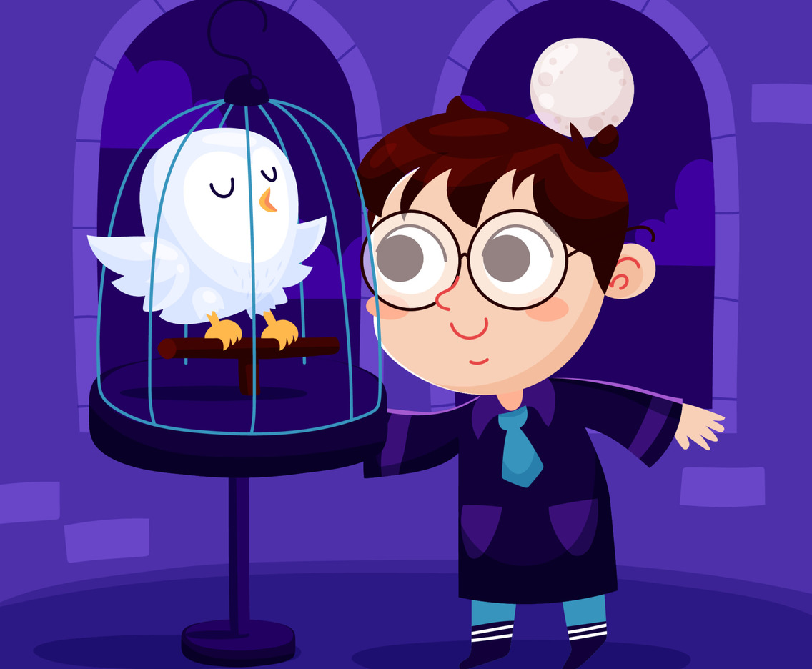 Sorcerer Boy Play with a White Owl