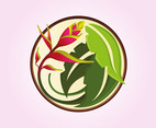 Tropical Flower Icon