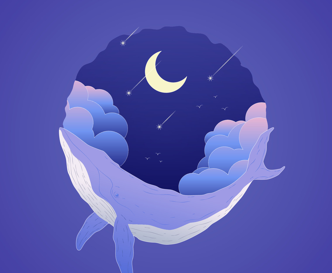 Lonely Whale in the Sky Full of Star and Cloud